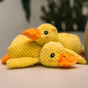Pet Dog Toy | Yellow Duck | Dog Chew Training Toy | Squeaky Toy for Dogs