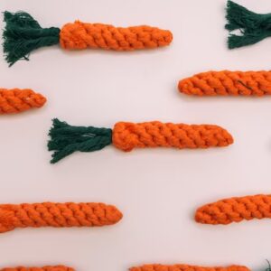 Pet Dog Toy | Carrot | Dog Chew Training Toy | Chew Toy for Dogs