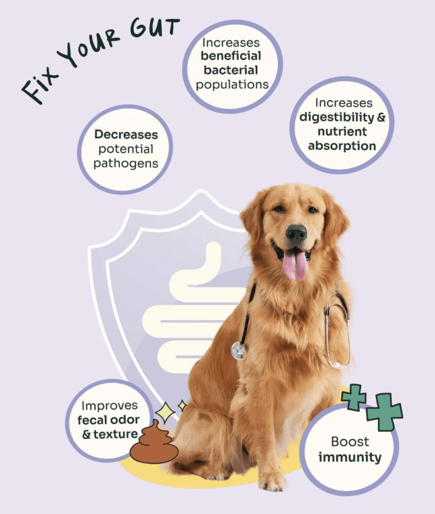 Notti Super Premium Dog Food | Kibbles [Chewbarka] - Image 5