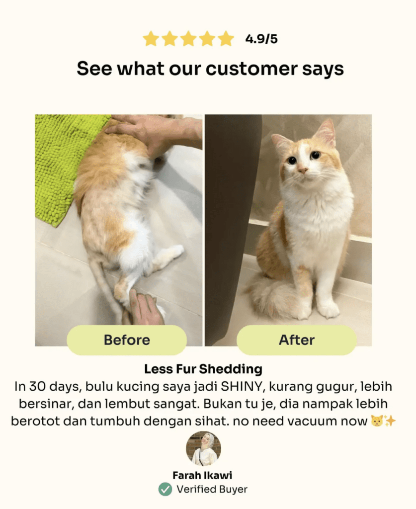 [SCDTS] Notti Super Premium Cat Food | Slow Baked Fresh Chicken & Tuna - 1.5kg [Chewbarka] - Image 6