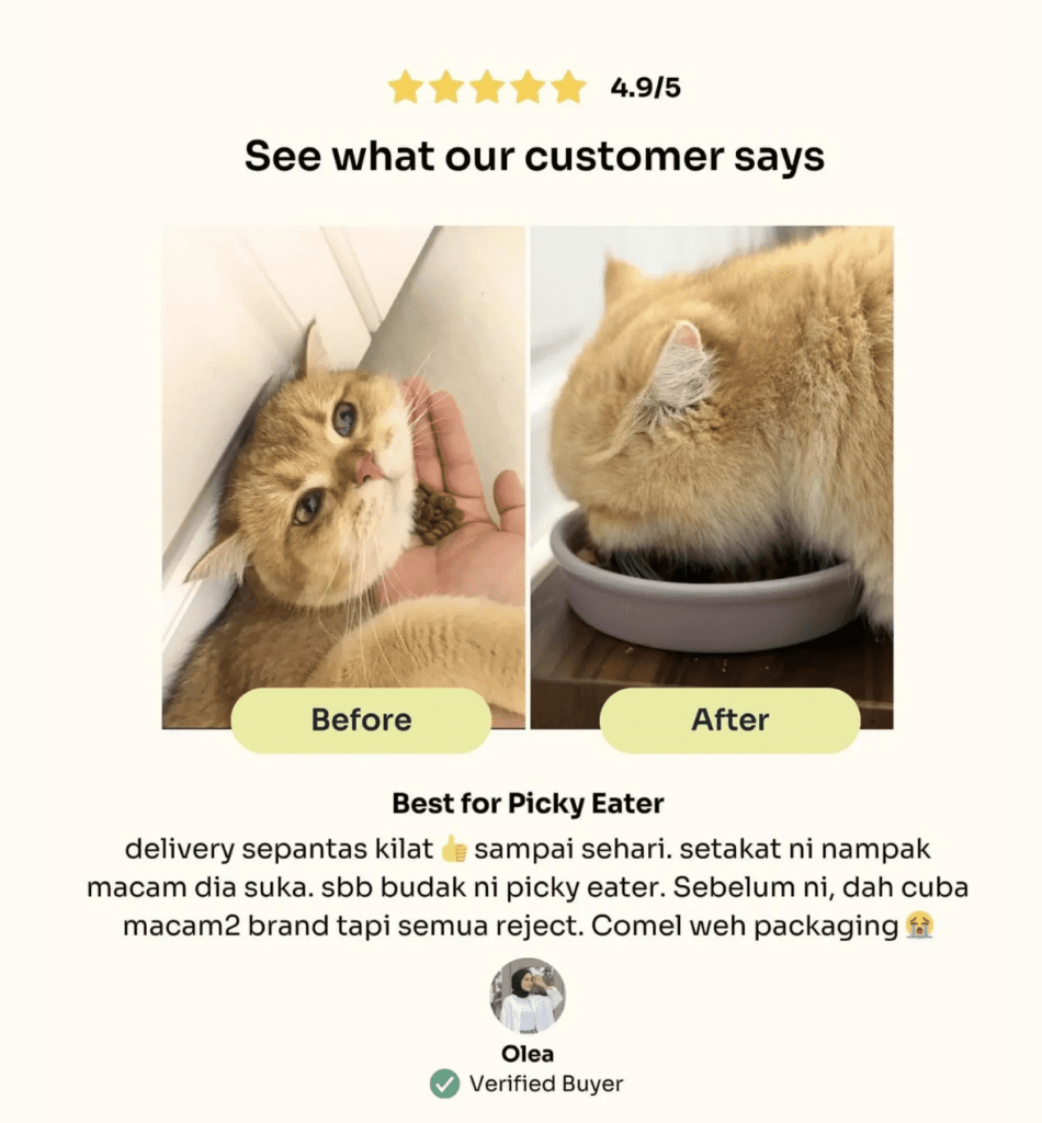 [SCDTS] Notti Super Premium Cat Food | Slow Baked Fresh Chicken & Tuna - 1.5kg [Chewbarka] - Image 5