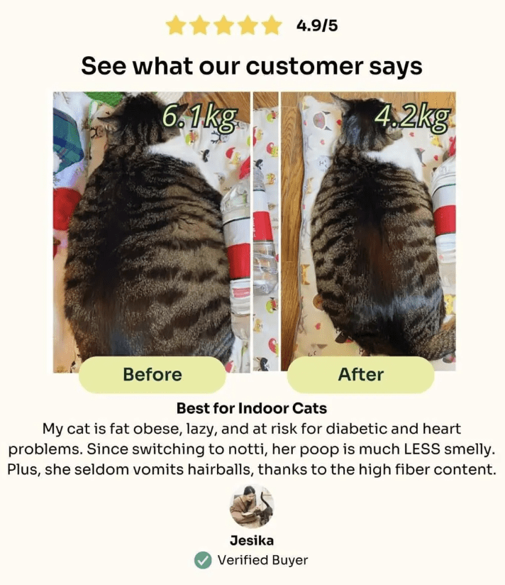 [SCDTS] Notti Super Premium Cat Food | Weight Care | Slow Baked Fresh Chicken & Lamb - 1.5kg [Chewbarka] - Image 5