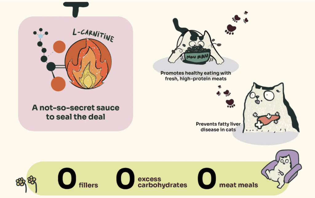 [SCDTS] Notti Super Premium Cat Food | Weight Care | Slow Baked Fresh Chicken & Lamb - 1.5kg [Chewbarka] - Image 7