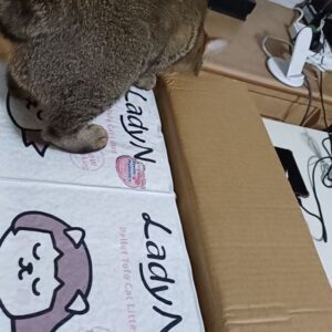 Customer review photo